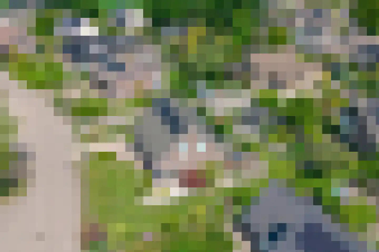 De Akkers 56 Westerbork thumbnail 63