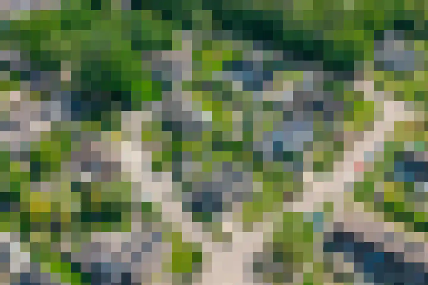 De Akkers 56 Westerbork thumbnail 66
