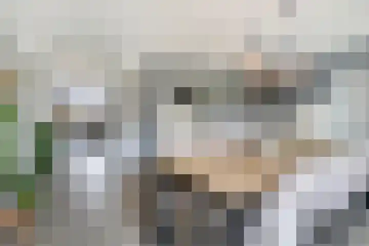 De Akkers 63 Enter thumbnail 12