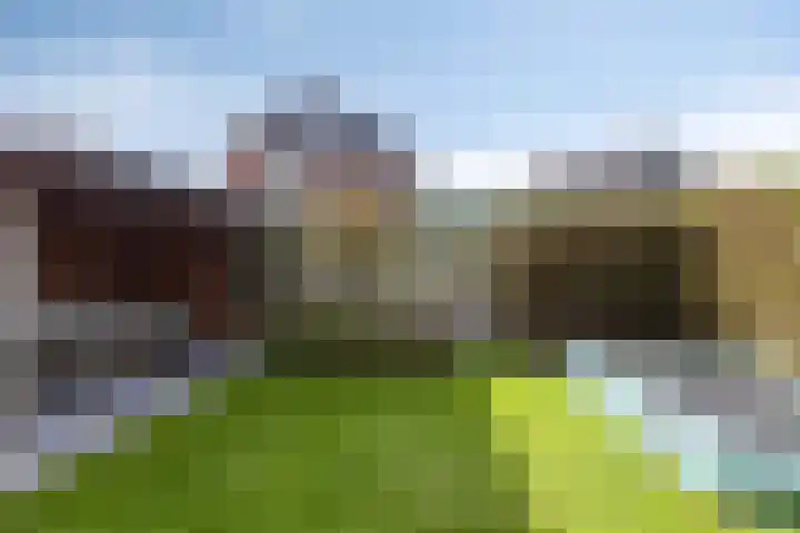 De Akkers 63 Enter thumbnail 31