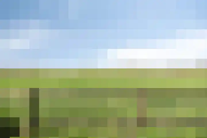 De Akkers 63 Enter thumbnail 38
