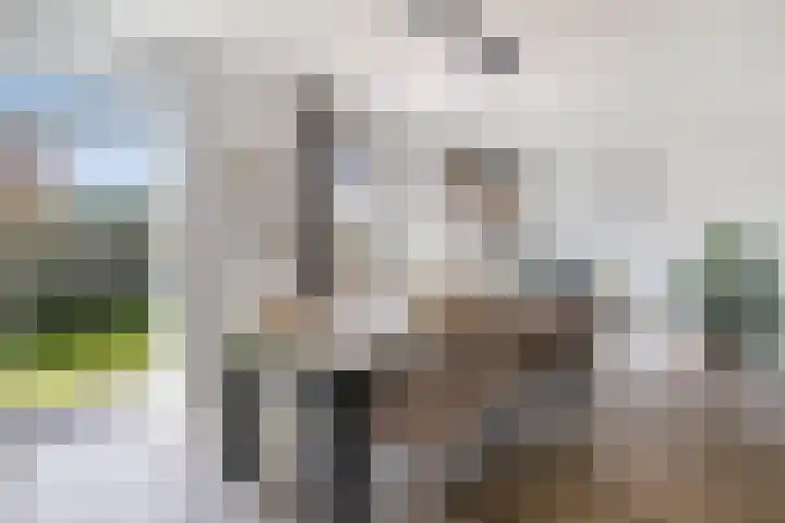 De Akkers 63 Enter thumbnail 9