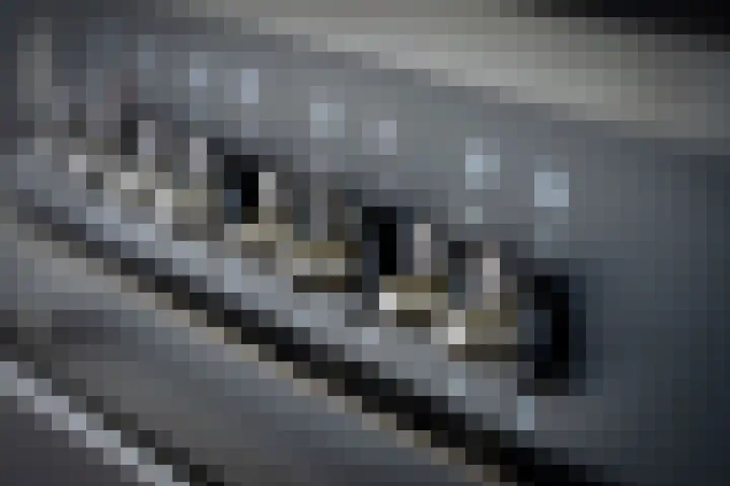 De Akkers 67 Enter thumbnail 15