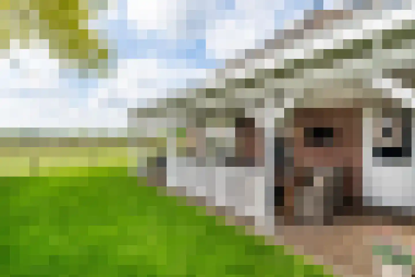 De Akkers 67 Enter thumbnail 5