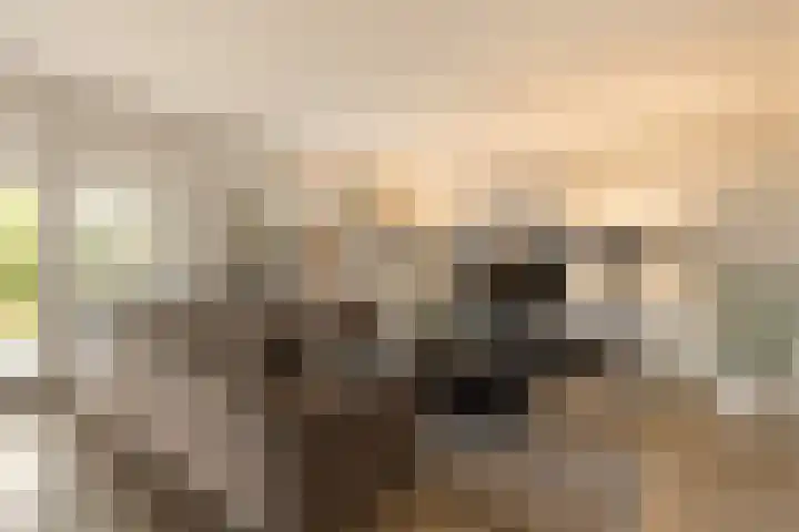 De Akkers 77 Enter thumbnail 10