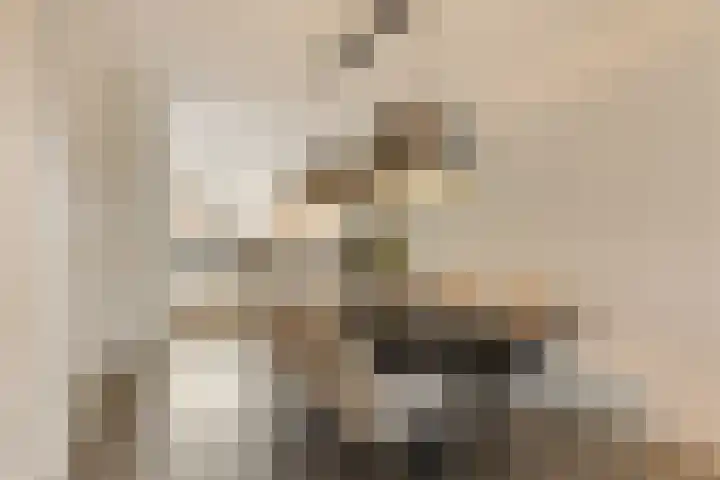 De Akkers 77 Enter thumbnail 12