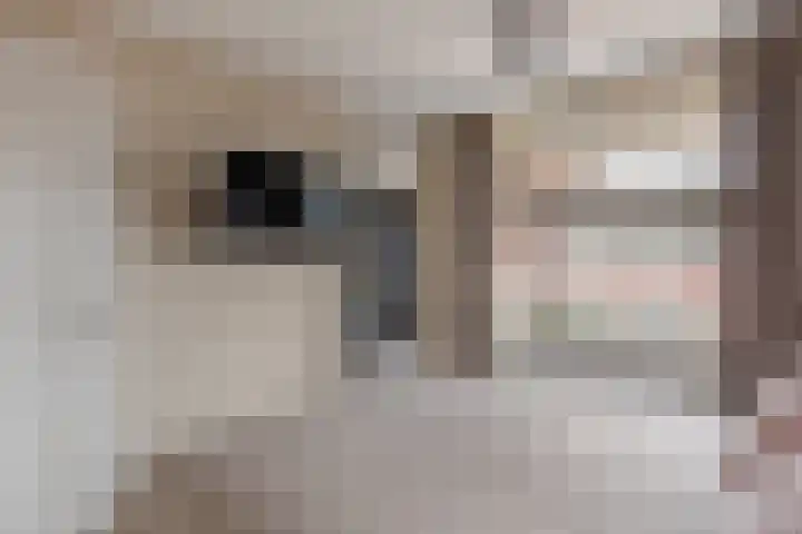 De Akkers 77 Enter thumbnail 16