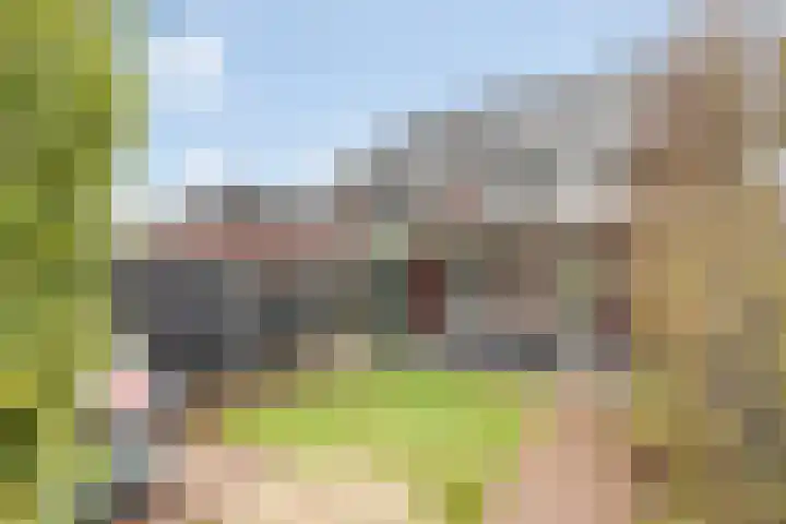 De Akkers 77 Enter thumbnail 21