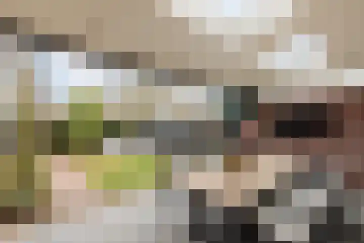 De Akkers 77 Enter thumbnail 23