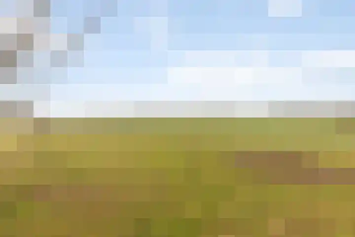 De Akkers 77 Enter thumbnail 24