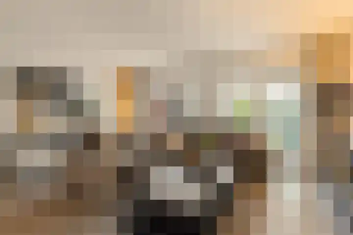 De Akkers 77 Enter thumbnail 9
