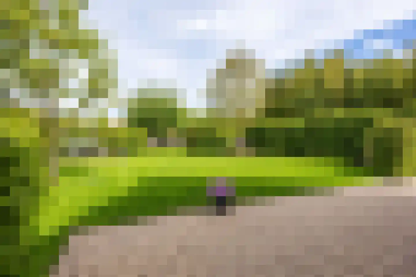 De Akkerstraat 4 Garnwerd thumbnail 44