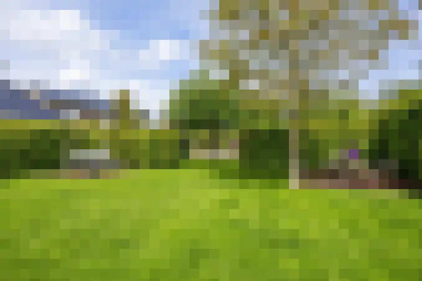 De Akkerstraat 4 Garnwerd thumbnail 46