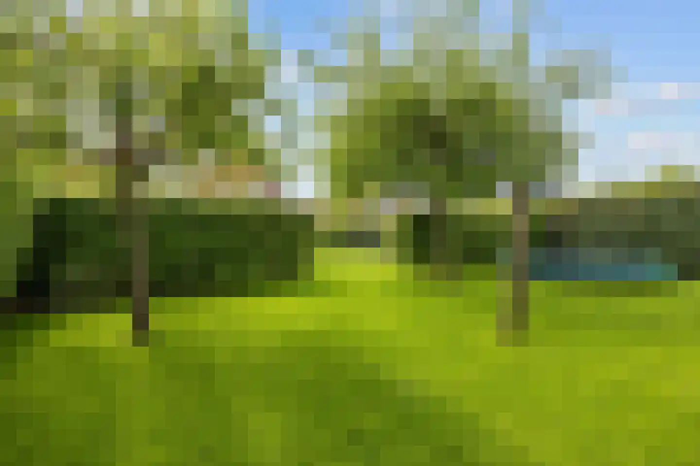 De Akkerstraat 4 Garnwerd thumbnail 48