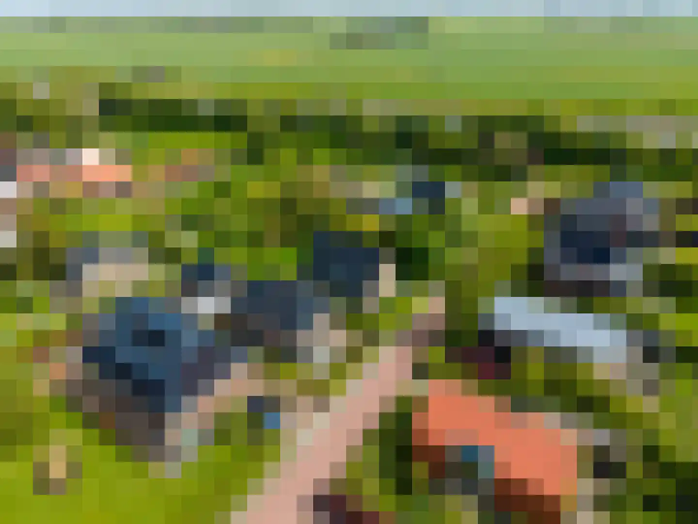 De Akkerstraat 4 Garnwerd thumbnail 51