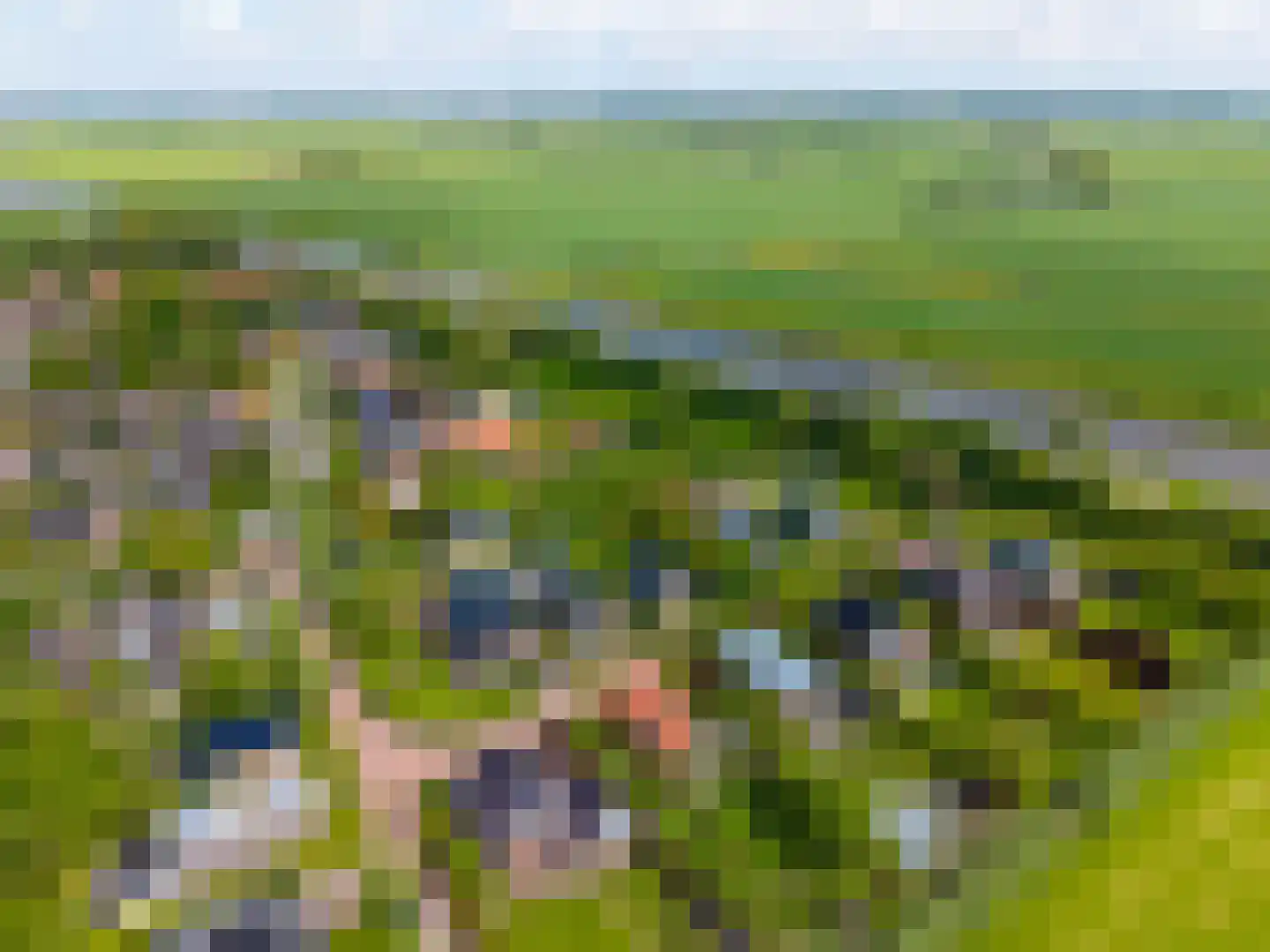 De Akkerstraat 4 Garnwerd thumbnail 56