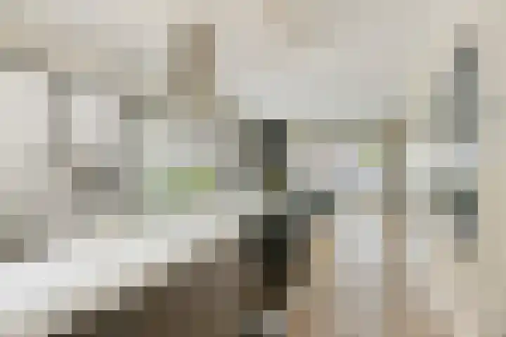 De Akkervrouw 1 Grubbenvorst thumbnail 13