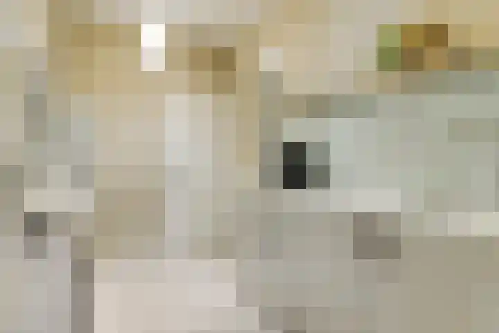 De Akkervrouw 1 Grubbenvorst thumbnail 14