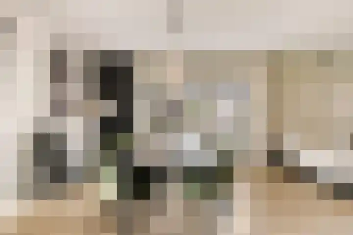 De Akkervrouw 1 Grubbenvorst thumbnail 5