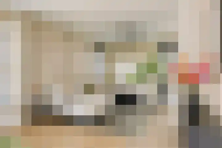 De Akkervrouw 1 Grubbenvorst thumbnail 6