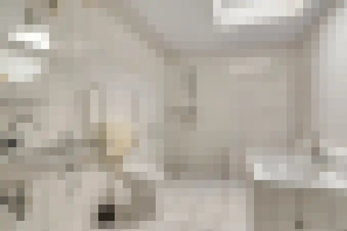 De Akkervrouw 8 Grubbenvorst thumbnail 19