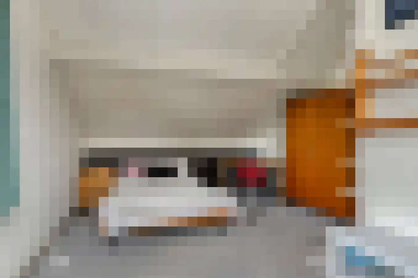 De Akkervrouw 8 Grubbenvorst thumbnail 23