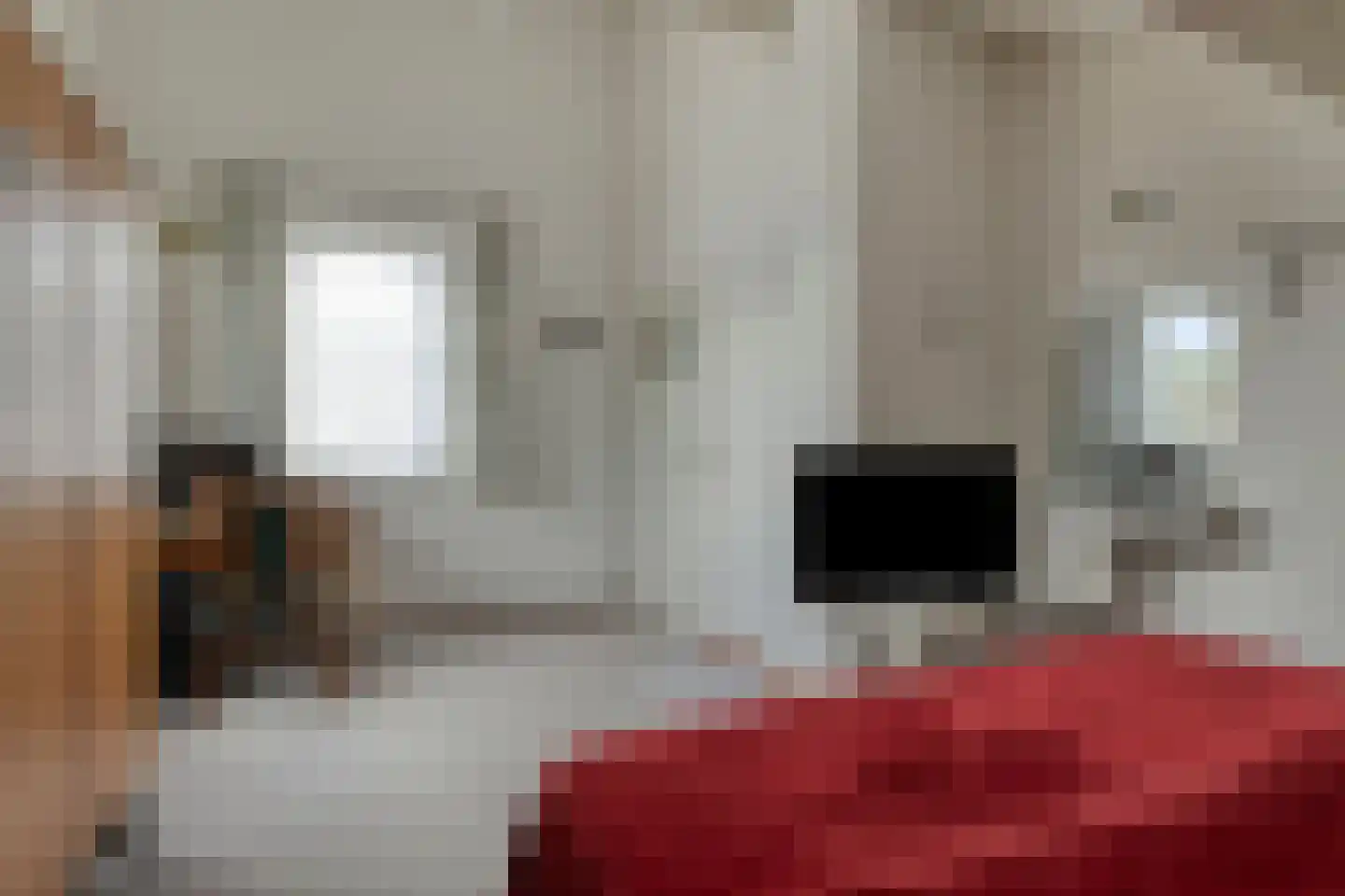 De Akkervrouw 8 Grubbenvorst thumbnail 26