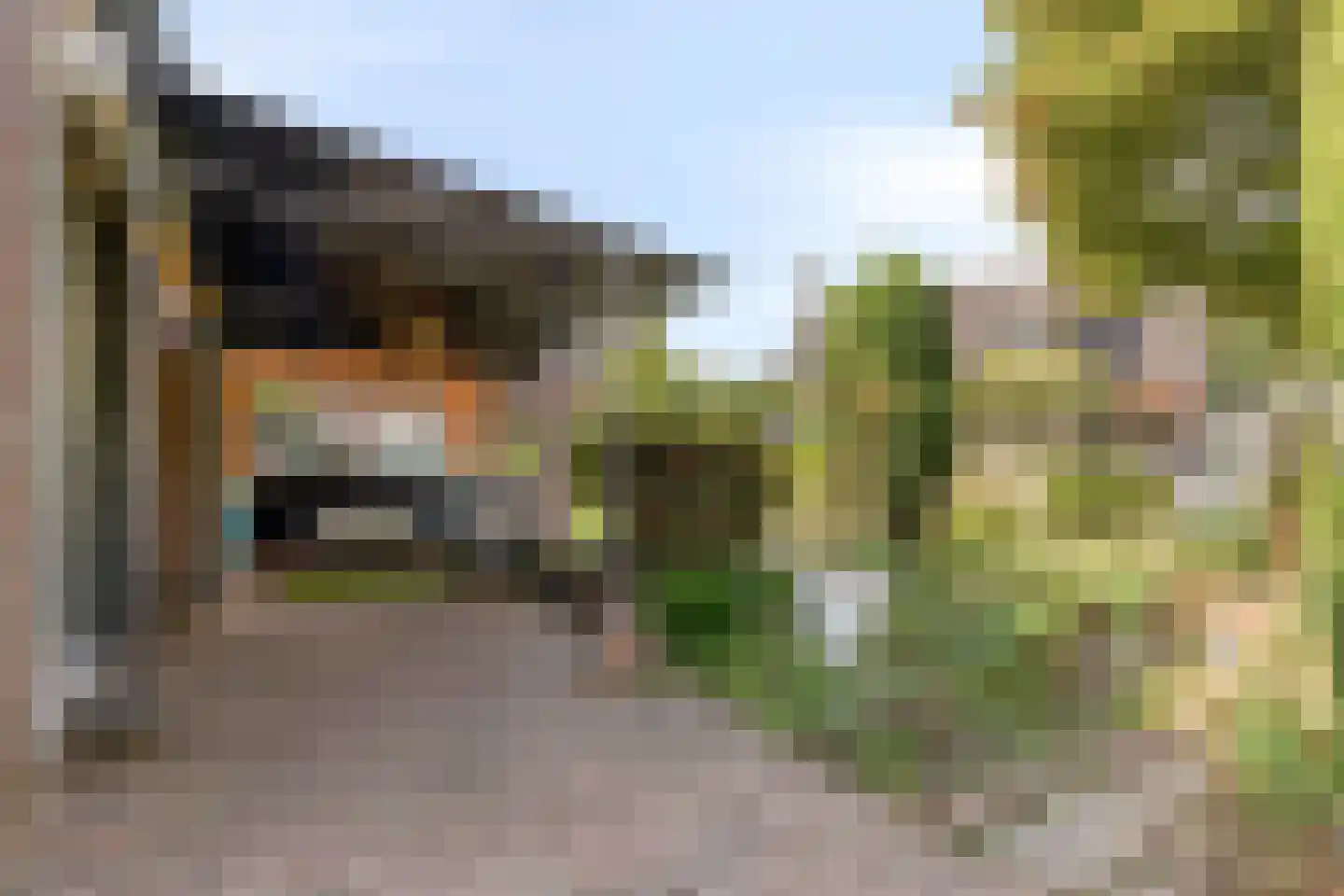 De Akkervrouw 8 Grubbenvorst thumbnail 27