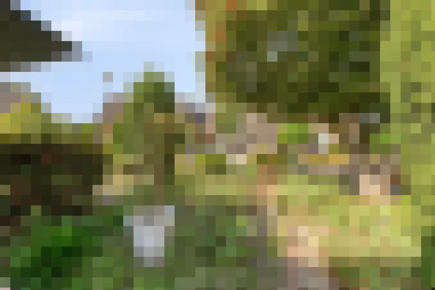 De Akkervrouw 8 Grubbenvorst thumbnail 29