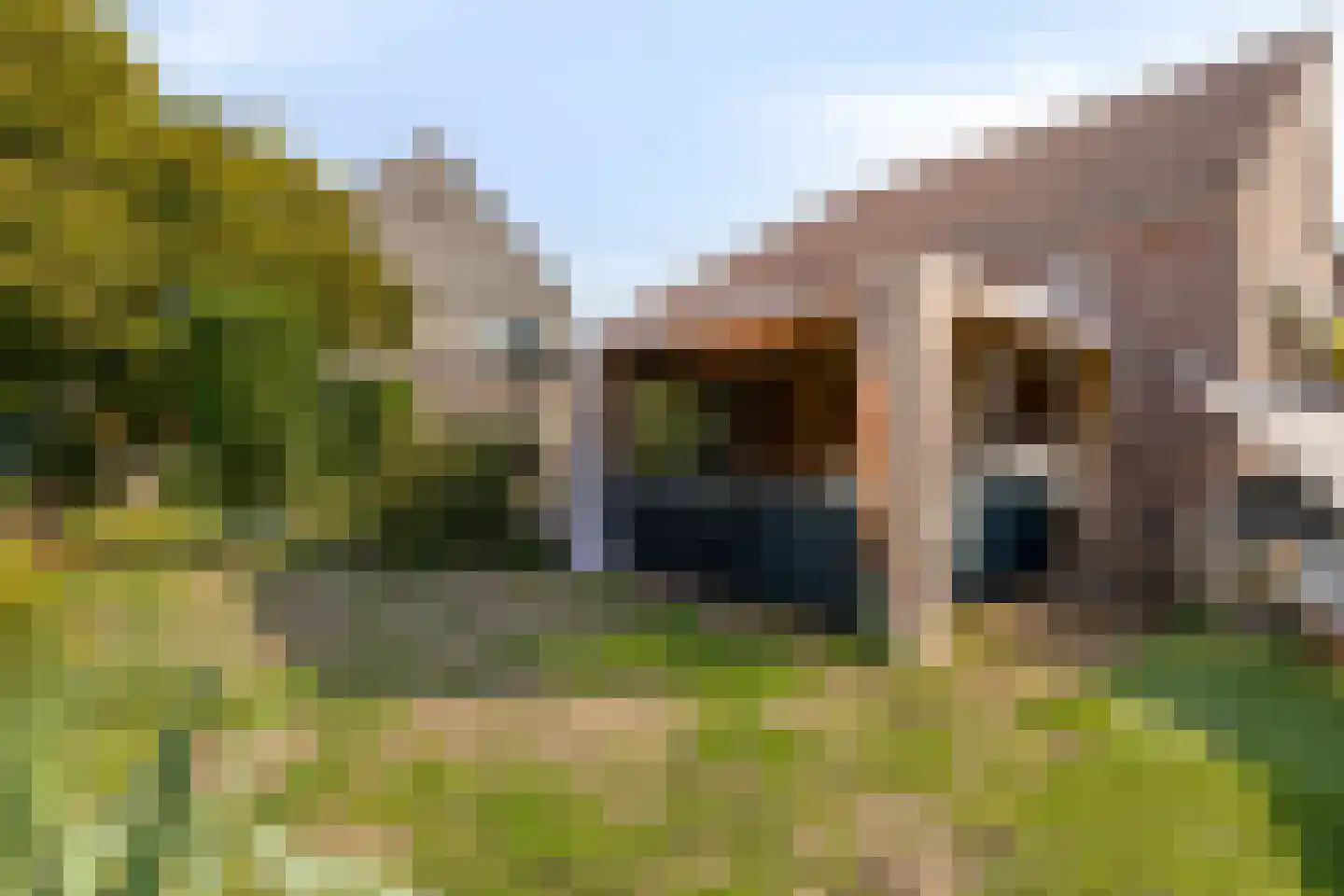 De Akkervrouw 8 Grubbenvorst thumbnail 31