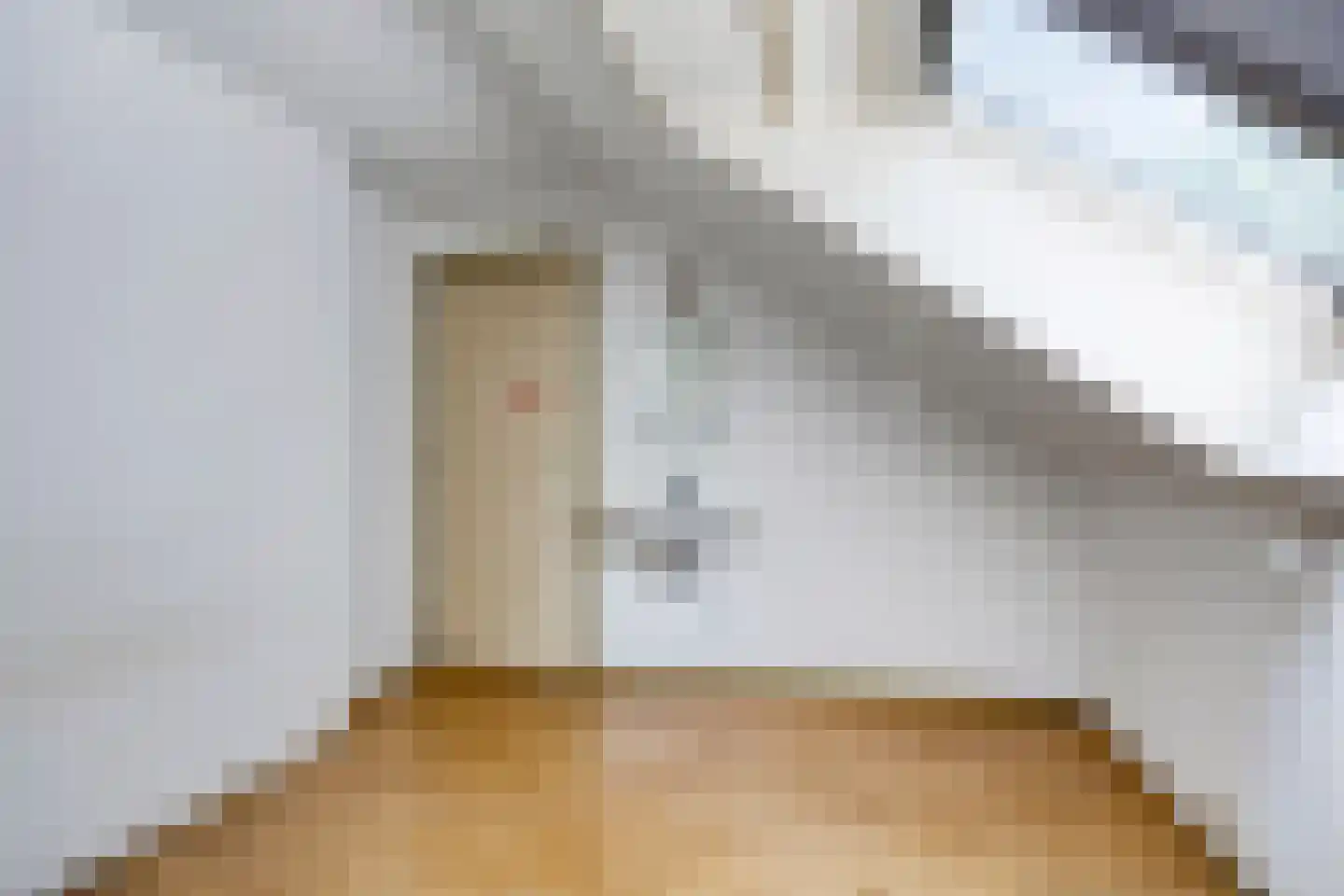 De Alden Weg 1 Venray thumbnail 25