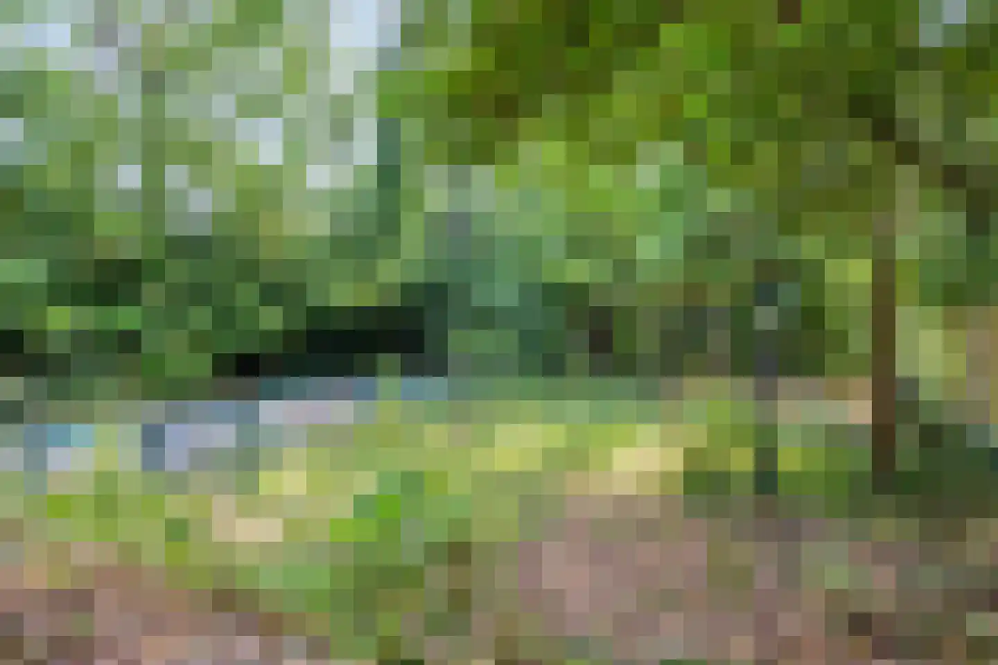 De Alden Weg 1 Venray thumbnail 31