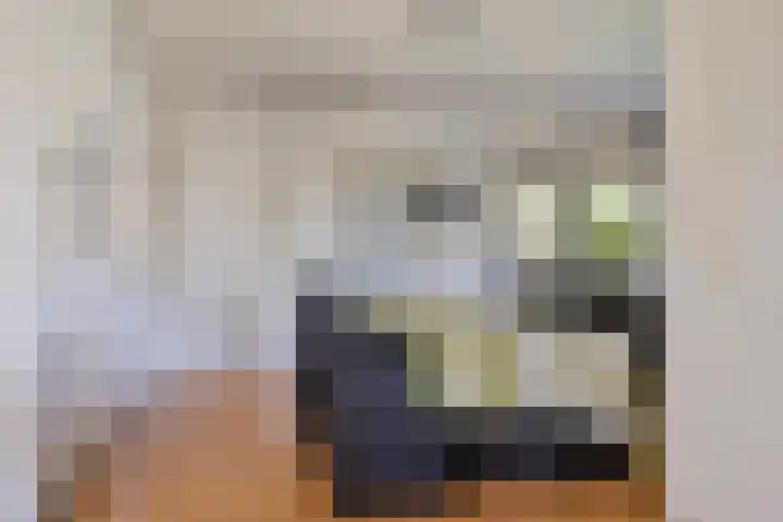 de Alerdink 25 Denekamp thumbnail 11