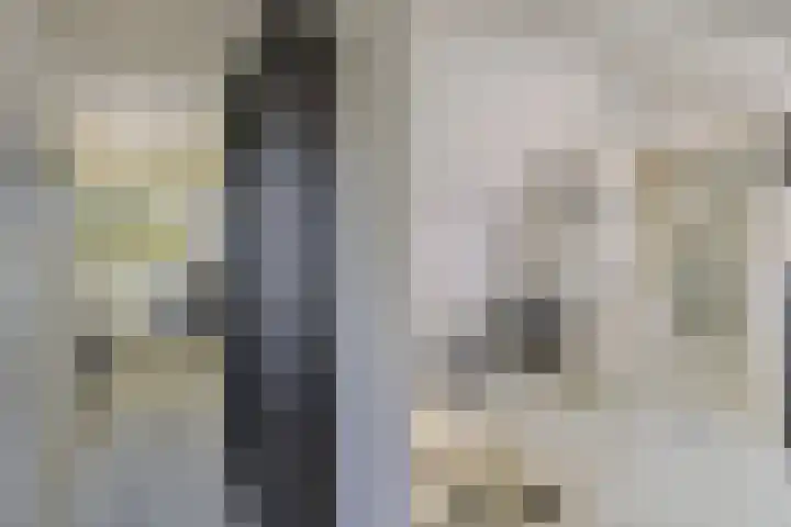de Alerdink 25 Denekamp thumbnail 20