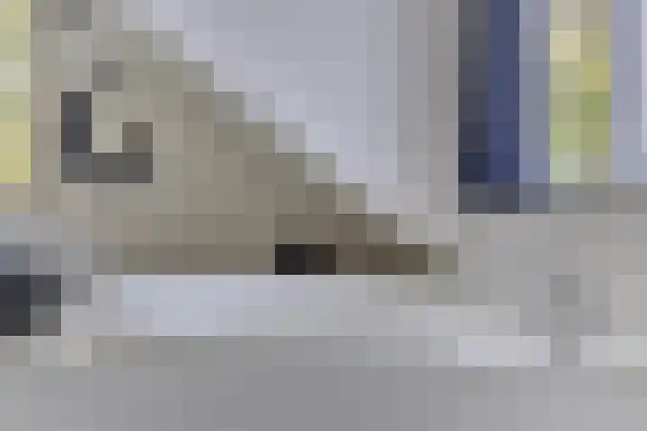 de Alerdink 25 Denekamp thumbnail 25