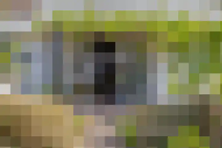 de Alerdink 25 Denekamp foto 3