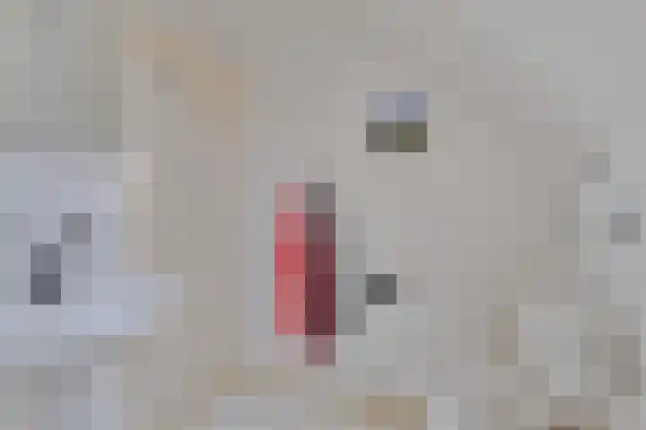 de Alerdink 25 Denekamp thumbnail 31