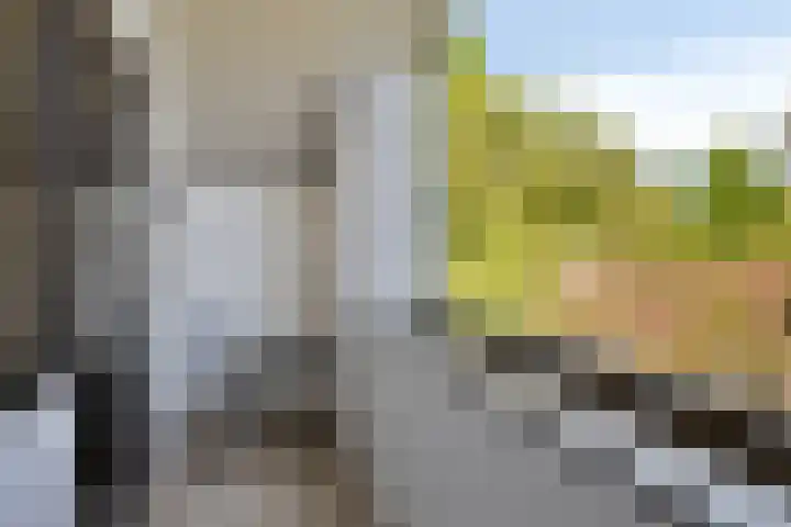 de Alerdink 25 Denekamp thumbnail 33