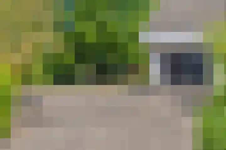 de Alerdink 25 Denekamp thumbnail 35