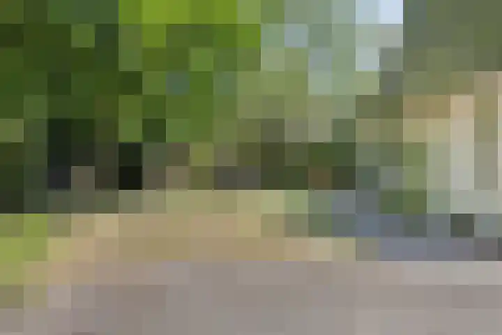 de Alerdink 25 Denekamp thumbnail 40