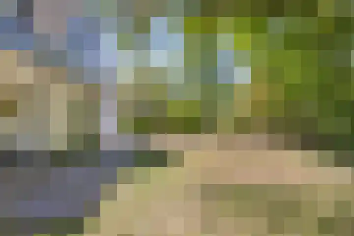 de Alerdink 25 Denekamp thumbnail 41