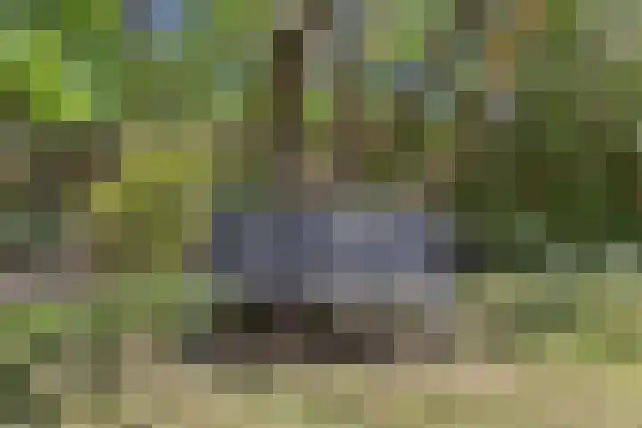 de Alerdink 25 Denekamp thumbnail 42