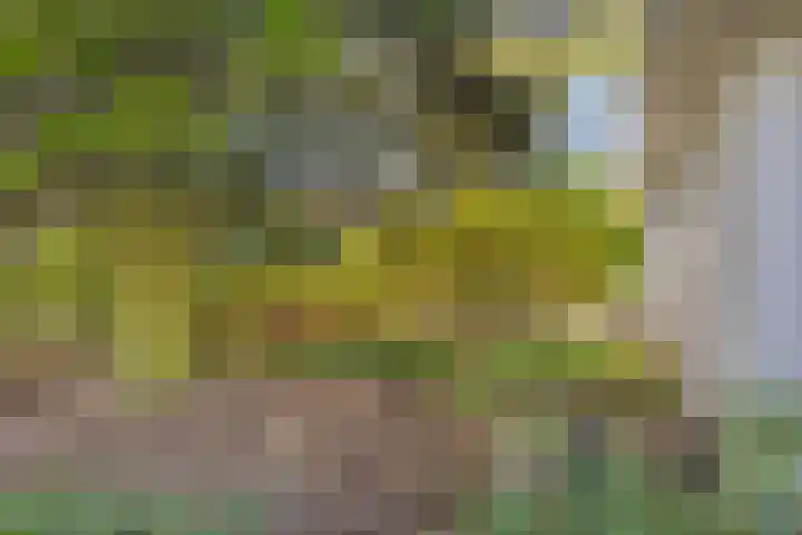 de Alerdink 25 Denekamp thumbnail 43