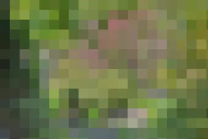 de Alerdink 25 Denekamp thumbnail 44