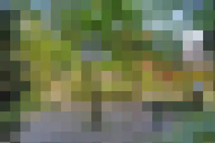de Alerdink 25 Denekamp thumbnail 45