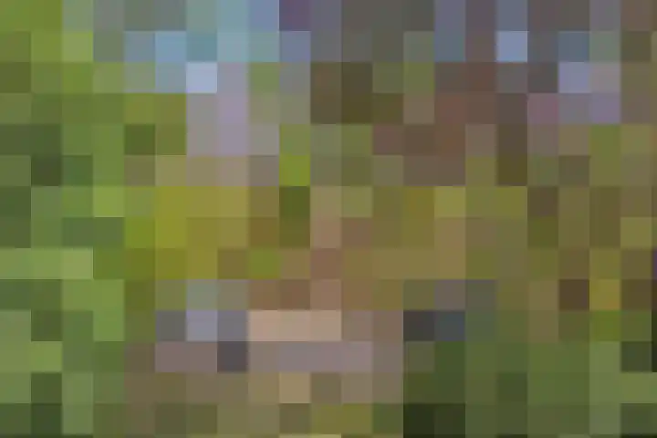 de Alerdink 25 Denekamp thumbnail 46