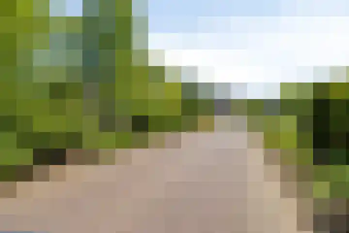 de Alerdink 25 Denekamp thumbnail 48