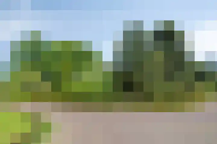 de Alerdink 25 Denekamp thumbnail 49