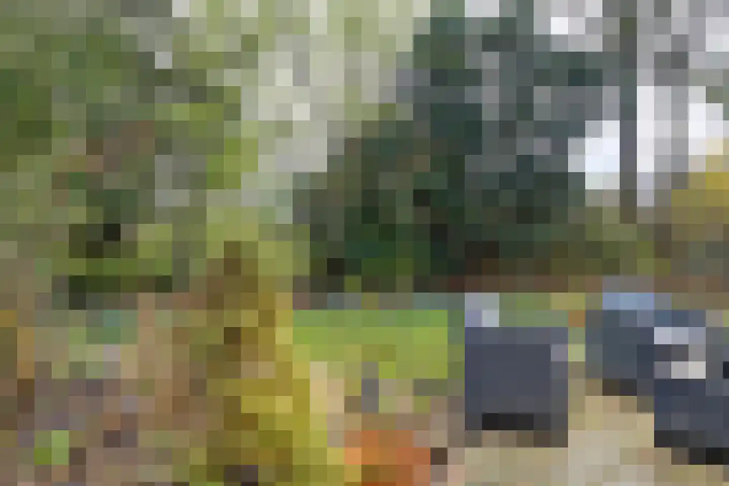 De Alk 13 Almelo thumbnail 19