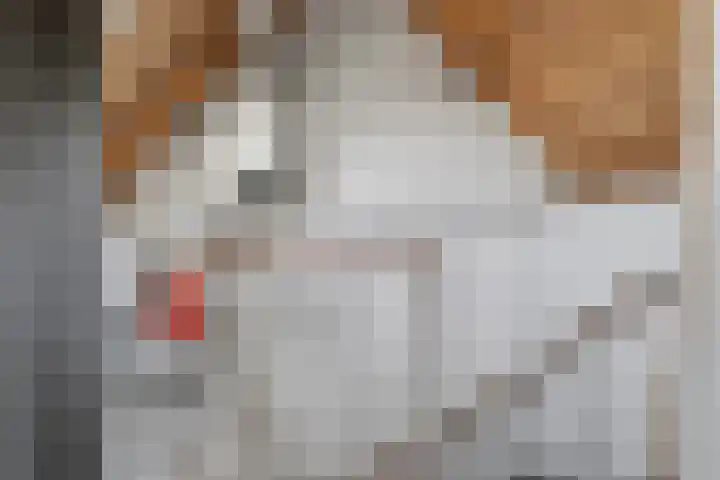 De Alk 16 Almelo thumbnail 26
